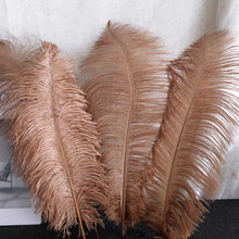 Load image into Gallery viewer, 100/lot One color Ostrich feathers for wedding centerpiece DIY Hat Milliery