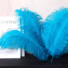 Load image into Gallery viewer, 100/lot One color Ostrich feathers for wedding centerpiece DIY Hat Milliery