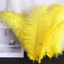 Load image into Gallery viewer, 100/lot One color Ostrich feathers for wedding centerpiece DIY Hat Milliery