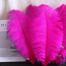 Load image into Gallery viewer, 100/lot One color Ostrich feathers for wedding centerpiece DIY Hat Milliery
