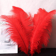 Load image into Gallery viewer, 100/lot One color Ostrich feathers for wedding centerpiece DIY Hat Milliery