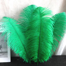 Load image into Gallery viewer, 100/lot One color Ostrich feathers for wedding centerpiece DIY Hat Milliery