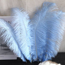 Load image into Gallery viewer, 100/lot One color Ostrich feathers for wedding centerpiece DIY Hat Milliery