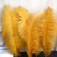 Load image into Gallery viewer, 100/lot One color Ostrich feathers for wedding centerpiece DIY Hat Milliery