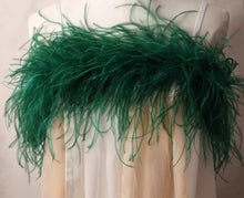 Load image into Gallery viewer, Premium Ostrich Feather Boa for Party & Cosplay