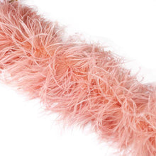 Load image into Gallery viewer, 10ply ostrich  feather Boa Dance Chand Nude color
