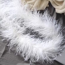 Load image into Gallery viewer, Ostrich Feather Boa for Halloween Cosplay Wedding Party