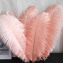 Load image into Gallery viewer, 100/lot One color Ostrich feathers for wedding centerpiece DIY Hat Milliery