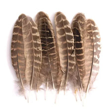 Load image into Gallery viewer, Classic almond pheasant "church window" feathers, golden brown tones for traditional fly tying and crafts.