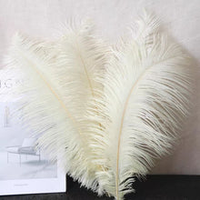 Load image into Gallery viewer, 100/lot One color Ostrich feathers for wedding centerpiece DIY Hat Milliery