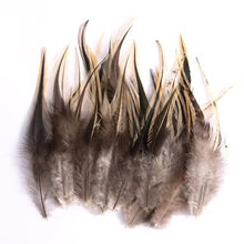 Load image into Gallery viewer, Premium dark brown pheasant plumage feathers, wholesale craft supplies for garment trimming.