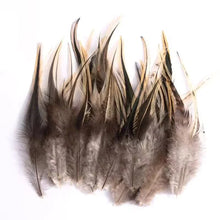 Load image into Gallery viewer, Premium dark brown pheasant plumage feathers, wholesale craft supplies for garment trimming.