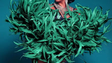 Load image into Gallery viewer, Emerald Green Ostrich Feather Boa Formal Event Costume Decoration