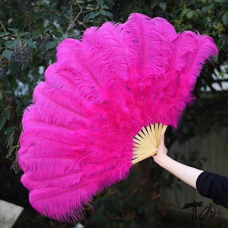 featherfan45 - Dancefeathers
