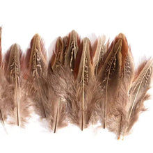 Load image into Gallery viewer, Small golden brown pheasant plumage feathers with natural dark edges for jewelry and millinery.