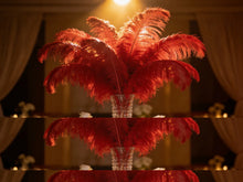 Load image into Gallery viewer, Large red ostrich feather centerpiece, bold table decor for weddings, corporate events and themed parties
