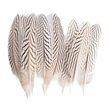 Load image into Gallery viewer, Soft light grey pheasant feathers with subtle natural patterns, delicate texture for fashion design.