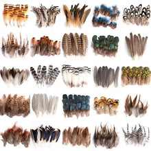 Load image into Gallery viewer, A wide assortment of mixed natural pheasant feathers, including tail and plumage feathers.
