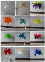 Load image into Gallery viewer, Multi-color ostrich feathers swatch for wedding centerpieces, showing different color options for event decor