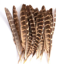 Load image into Gallery viewer, Natural brown striped pheasant feathers, short quill feathers for DIY fly tying and craft projects.