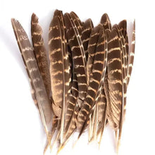 Load image into Gallery viewer, Natural brown striped pheasant feathers, short quill feathers for DIY fly tying and craft projects.