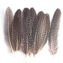 Load image into Gallery viewer, Natural grey speckled pheasant feathers, authentic bird plumage for costumes and millinery