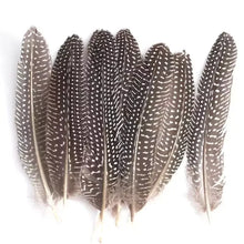 Load image into Gallery viewer, Natural grey speckled pheasant feathers, authentic bird plumage for costumes and millinery