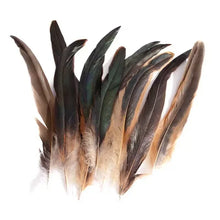 Load image into Gallery viewer, Natural brown and green pheasant tail feathers, long authentic plumage for crafts, fly tying, costume design, and millinery supplies.