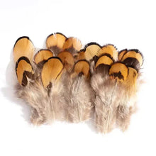 Load image into Gallery viewer, Natural striped pheasant tail feathers for DIY crafts, hat decorations, and floral arrangements.