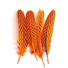 Load image into Gallery viewer, Natural orange mottled pheasant plumage feathers for millinery, arts, and unique craft projects.
