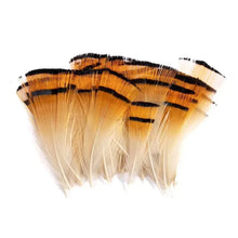 Load image into Gallery viewer, Orange-tipped natural pheasant feathers, vibrant craft feathers for costumes and floral designs
