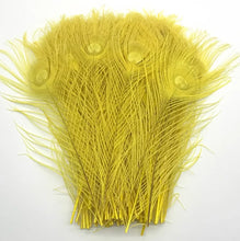 Load image into Gallery viewer, peacock feathers