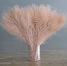 Load image into Gallery viewer, peacock feathers nude