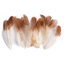 Load image into Gallery viewer, Brown-tipped natural pheasant feathers, bulk pack for arts, crafts, and jewelry making