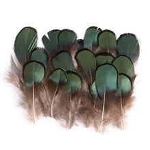 Load image into Gallery viewer, Green and brown pheasant feathers, natural craft supplies for decoration, costumes, or DIY projects