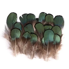 Load image into Gallery viewer, Green and brown pheasant feathers, natural craft supplies for decoration, costumes, or DIY projects