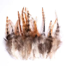 Load image into Gallery viewer, Mixed tan and brown pheasant feathers, decorative plumage for dreamcatchers and floral arrangements
