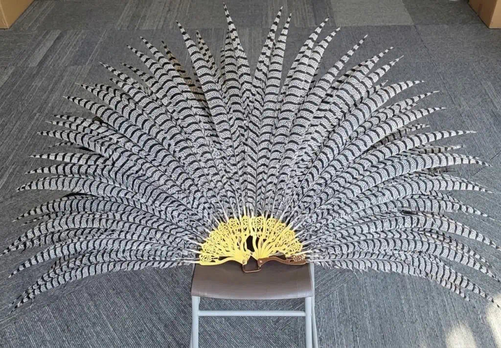 2-in-1 Large Faux Amherst Pheasant Feather Fan & Carnival Backpiece (70cm Radius) One Pair(2 fans)– Lightweight Printed Fabric Samba Performance Wings with Backpack Straps