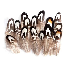 Load image into Gallery viewer, Pointed pheasant feathers with distinct brown and white tips, decorative feathers for floral arrangements.