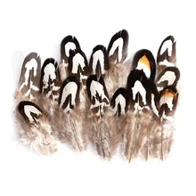 Load image into Gallery viewer, Pointed pheasant feathers with distinct brown and white tips, decorative feathers for floral arrangements.