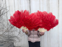 Load image into Gallery viewer, redostrichfeatherfan1489 - Dancefeathers