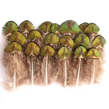 Load image into Gallery viewer, Ringneck pheasant "church window" feathers with distinct gold and brown almond patterns.