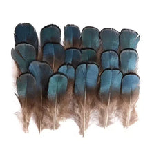 Load image into Gallery viewer, Assorted pack of premium ringneck pheasant feathers for high-end fashion and costume design.