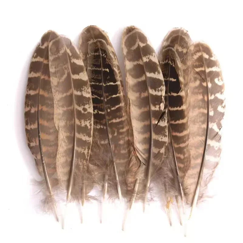Speckled brown pheasant wing feathers, bulk natural craft feathers for DIY jewelry, floral arrangements, and costume accessories.