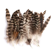 Load image into Gallery viewer, Speckled brown and black pheasant feathers, bulk craft feathers for party decor and accessories