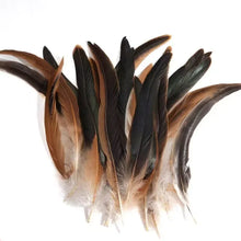Load image into Gallery viewer, Beautiful spotted pheasant wing feathers, ideal for jewelry making and bohemian hair accessories.