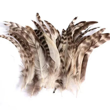 Load image into Gallery viewer, Unique V-shaped pattern pheasant feathers in tan and black, decorative feathers for DIY art projects.