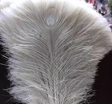Load image into Gallery viewer, peacock feathers