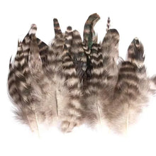 Load image into Gallery viewer, Striking zebra-like striped pheasant feathers with black and white patterns, perfect for millinery hats.