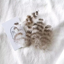 Load image into Gallery viewer, Beautiful zebra-striped pheasant feathers in white and black, unique craft material for hat decor.